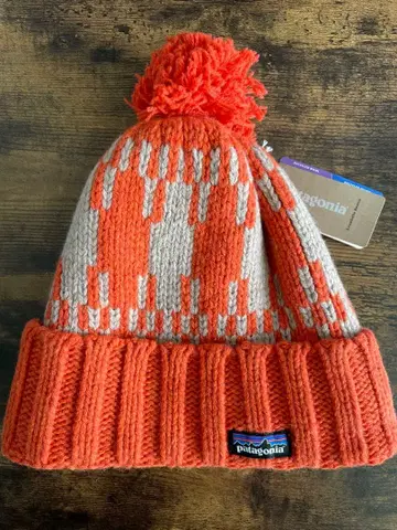 파타고니아 Snowbelle Beanie NCRE 2021