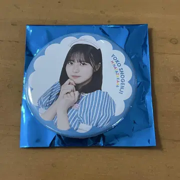 히나타자카46 쇼겐지 요코 캔뱃지 할로윈 투어