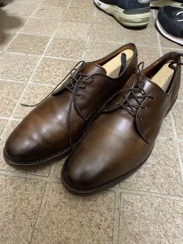 Allen Edmonds Kenilworth Plane Toe Shoes