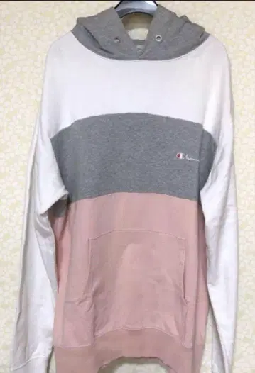 Champion 후드티