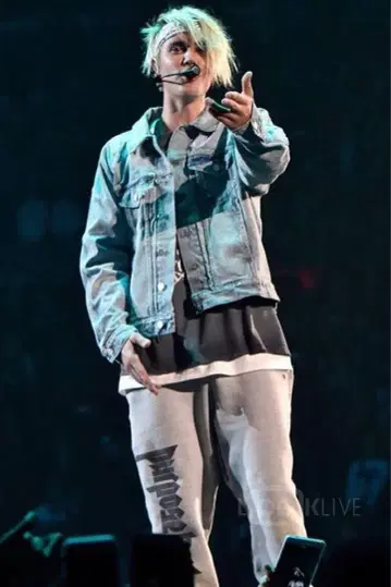 Purpose tour Justin Bieber