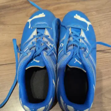 Puma 축구 트레이닝 슈즈 21cm 파랑