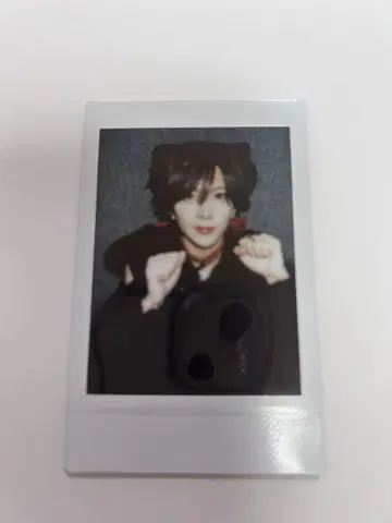 러브시크 사쿠라 핑 폴라로이드