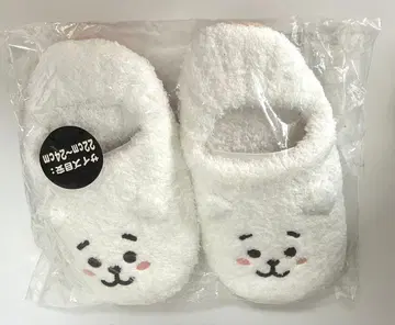 BTS BT21 룸슈즈 RJ