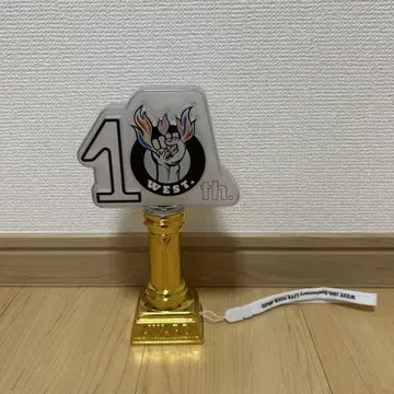 10th WEST LED 응원봉