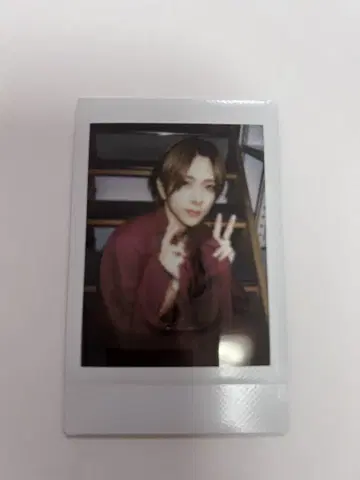 러브식 사쿠라 핑 폴라로이드