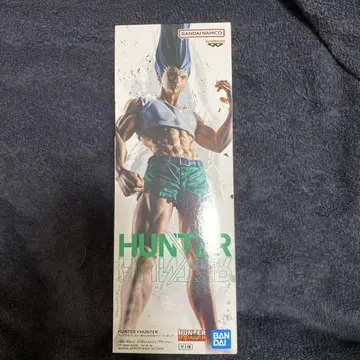 HUNTER x HUNTER 곤 피규어 피그라이프! 미개봉 새상품
