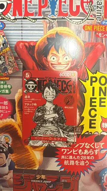 ONE PIECE 제5권 특제 카드 포함