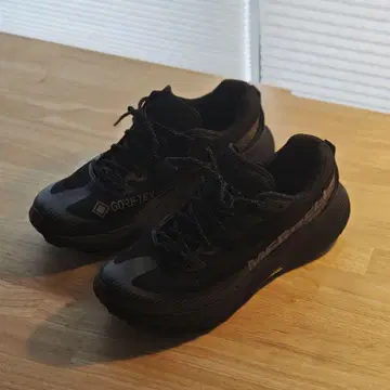 머렐 AGILITY PEAK 5 GORE-TEX 27.0 cm 2E