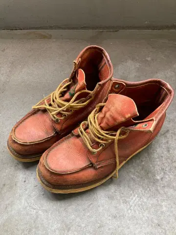 REDWING 아이리쉬 세터