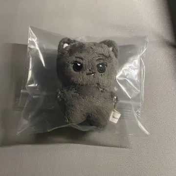 ENHYPEN 제이 마스터 인형 봉제 인형