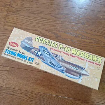CURTISS P-40 WARHAWK 플라잉 모델 키트