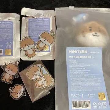 SEVENTEEN miniteen 디노 키링 키체인