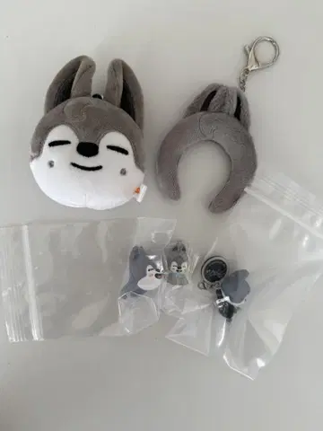 울프찬 5세트
