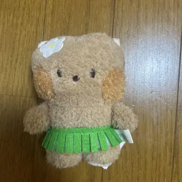 BT21 RJ 일광화상 minini