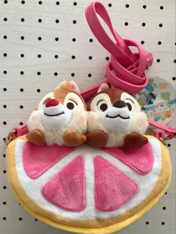상하이 디즈니 칩 앤 데일 파우치