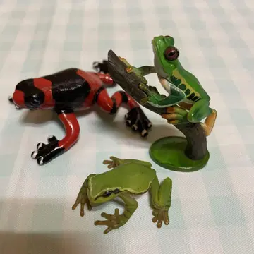 원색 양서류 개구리 도감 아카메아마가에루 니혼아마가에루 유진