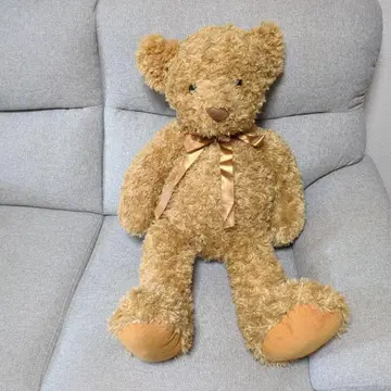 곰 봉제 인형