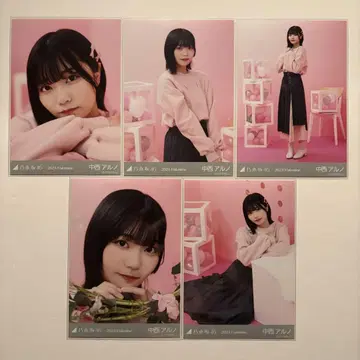 노기자카46 나카니시 아루노 발렌타인 2023년 브로마이드 5종 컴프