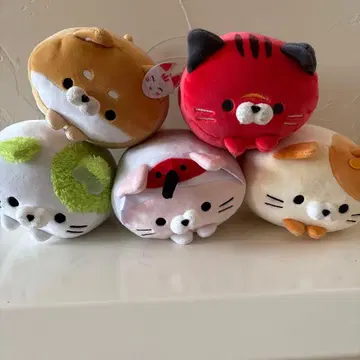 코로코로 냥코 강아지 지역 한정