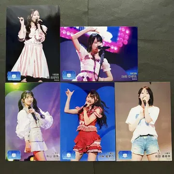 AKB48 브로마이드 5장 18기생 승격 스크래치