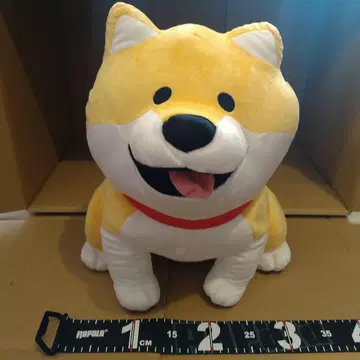 시반반 BIG 봉제 인형 택 포함