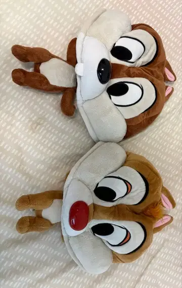 칩과 데일 후드 부착 캡