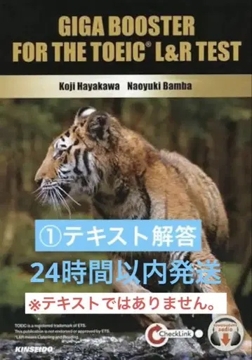 GIGA BOOSTER 해답 프린트