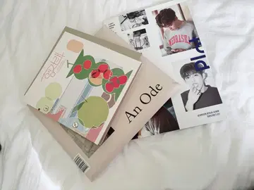 SEVENTEEN 앨범 3종 세트