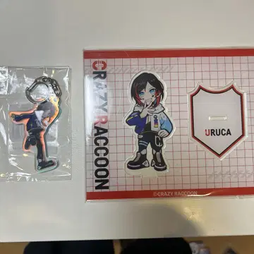 CRAZY RACCOON URUCA 아크릴 스탠드 세트