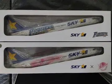 SKY 특별 페인팅기 2세트