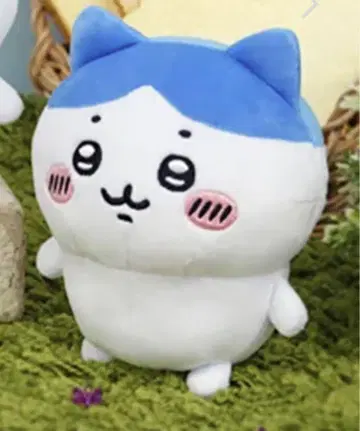 택 포함 하치와레 치이카와 (먼작귀) 뽀떼따마 봉제 인형 미사용