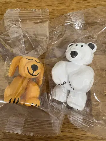 DAISUKE KONDO shirokuma & inu