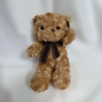 Hug Bear 브라운 봉제 인형 택 포함