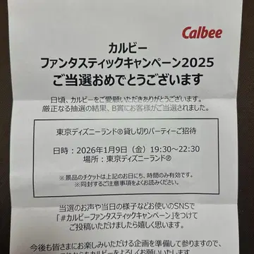도쿄 디즈니랜드 대관 2인분