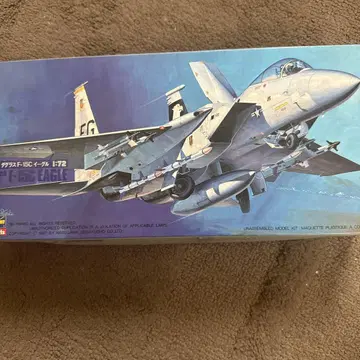 하세가와 1/72 F-15C 이글