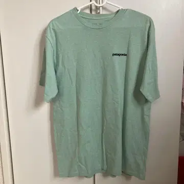 patagonia 민트 그린 T셔츠