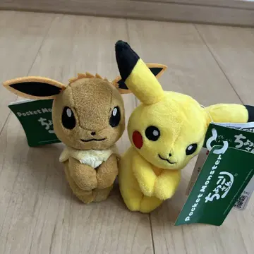 이브이와 피카츄