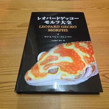 레오파드게코 모프 대전