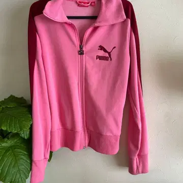 PUMA 푸마 저지 후드티 맨투맨 긴팔 푸자 핑크