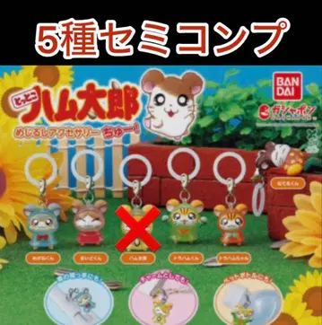 두근두근 비밀의 문구점 메지루시 액세서리 세미 컴플리트 세트