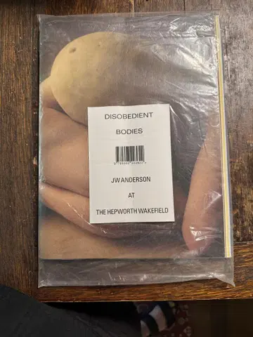 DISOBEDIENT BODIES JW ANDERSON