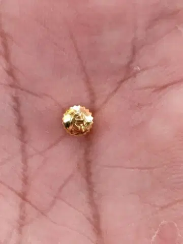 라도 스타 크라운