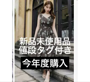 Anemone Cache-Coeur Long Dress herlipto