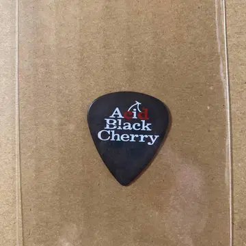 Acid Black Cherry 굿즈 피크 BLACKLIST