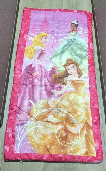 디즈니 프린세스 침낭 코스트코 어린이용