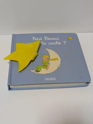 어린 왕자 프랑스어 그림책 FLEURUS Petit Prince