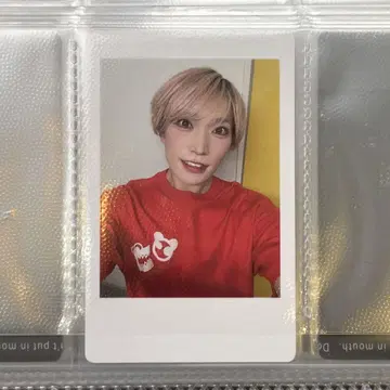 팬더드래곤 파라곤 하피카