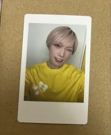 팬더드래곤 타이거 요우타 하피카 파라곤
