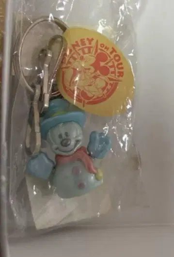디즈니 눈사람 미키 사과 포함 나가노현 한정판 키링